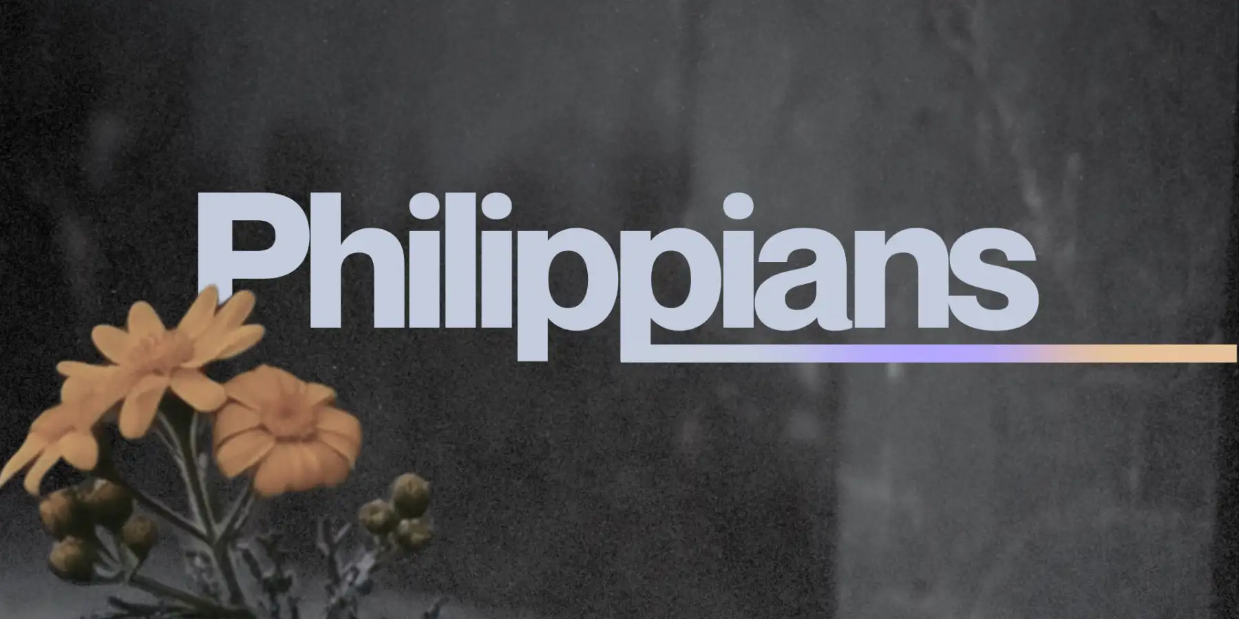 Philippians (South Asia) - Jacobs Samuel Thevallil - English Class